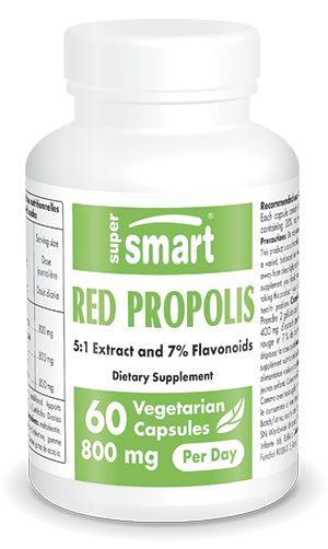 <titre>Red Propolis</titre>