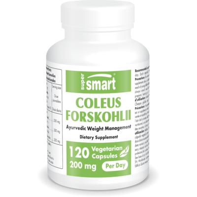 Complément alimentaire de Coleus forskohlii