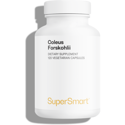 Complément alimentaire de Coleus forskohlii