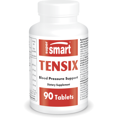 Tensix Supplement