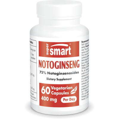 Notoginseng 