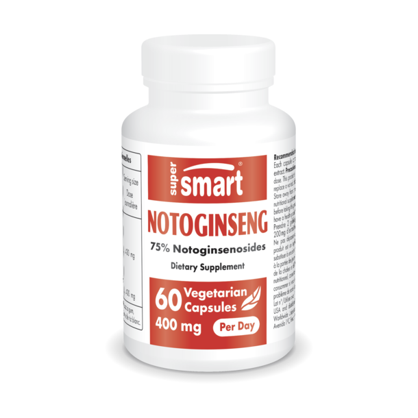 Notoginseng 