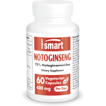 Notoginseng 