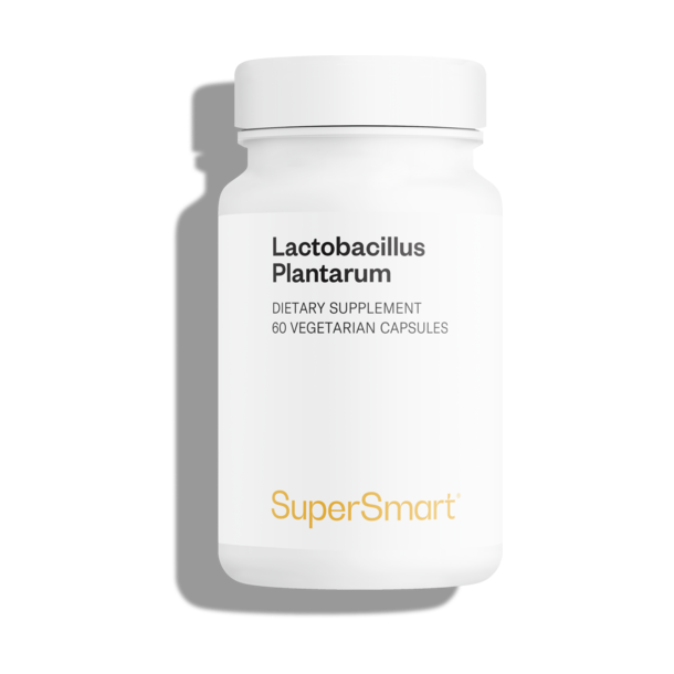 Lactobacillus Plantarum PostBiotic
