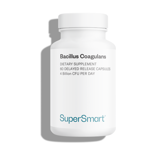 Suplemento Probiótico Bacillus Coagulans