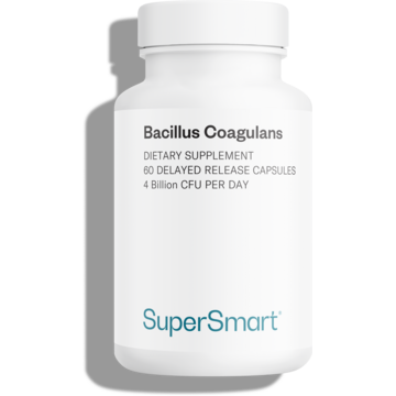 Suplemento Probiótico Bacillus Coagulans