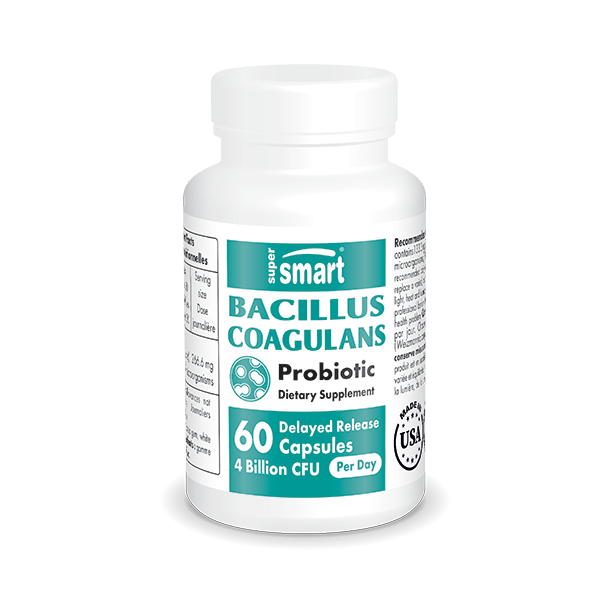Bacillus Coagulans Probiotic