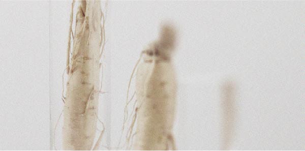 Tout ce qu’il faut savoir sur l’hypotension orthostatique