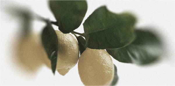 Quels aliments peuvent soulager la tendinite