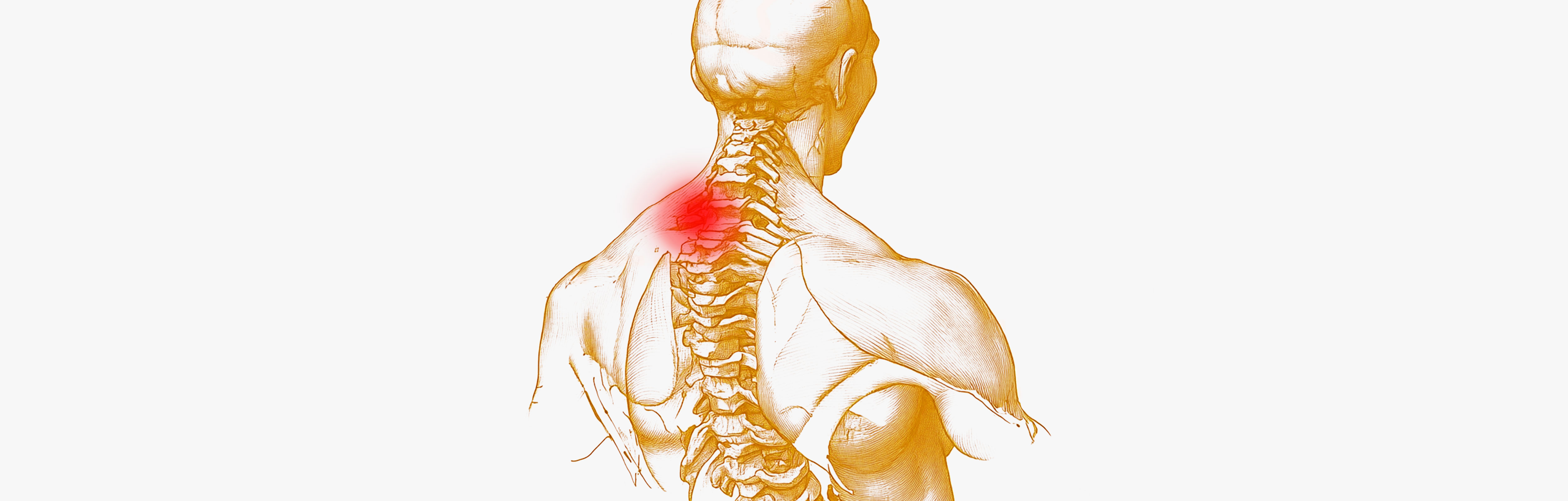 Aliments inflammatoires