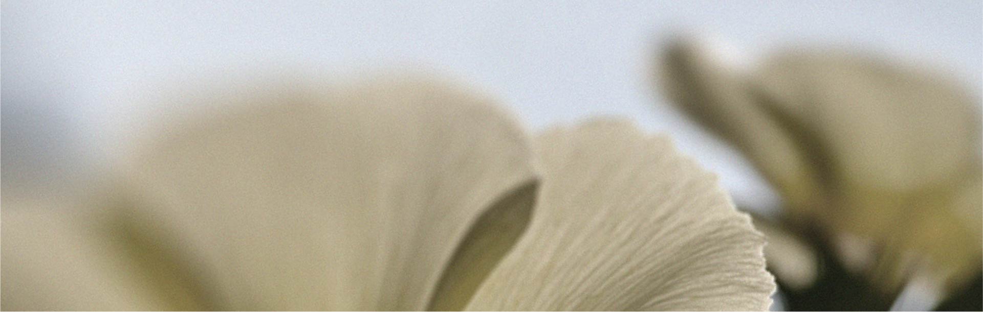 Los factores que pueden afectar la vitalidad masculina