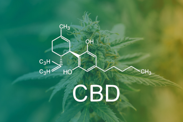 Molécule de CBD et plant de cannabis