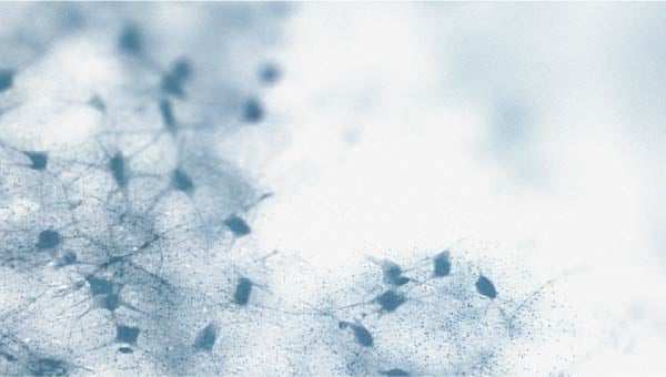 Existe-t-il un lien entre le taux de cholestérol et le déclin cognitif ?