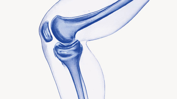 Régénération du cartilage