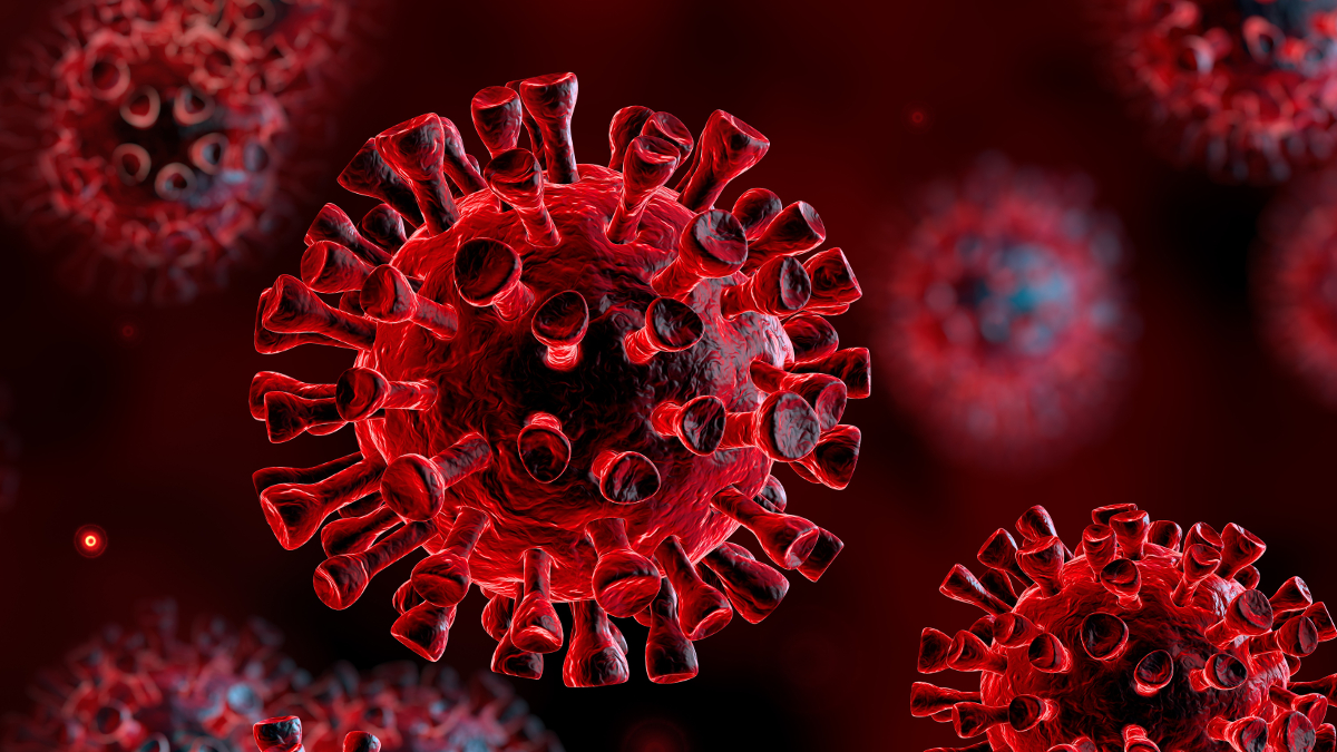 Coronavirus ou virus du COVID-19 au sein de l'organisme