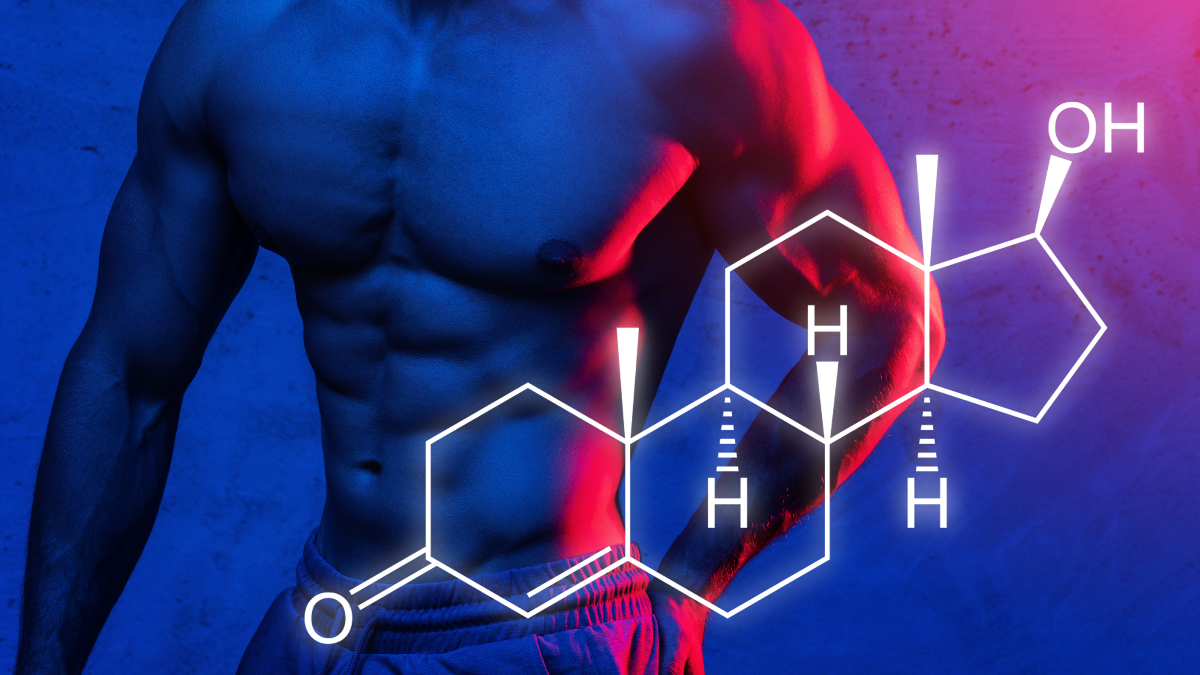 Augmenter votre hormone reproductrice masculine
