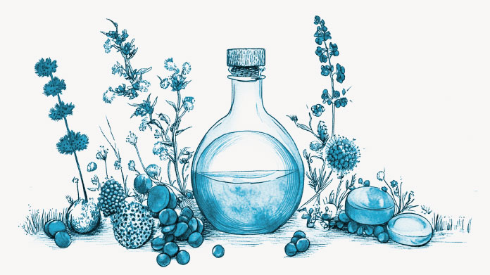 Les meilleurs pansements gastriques naturels