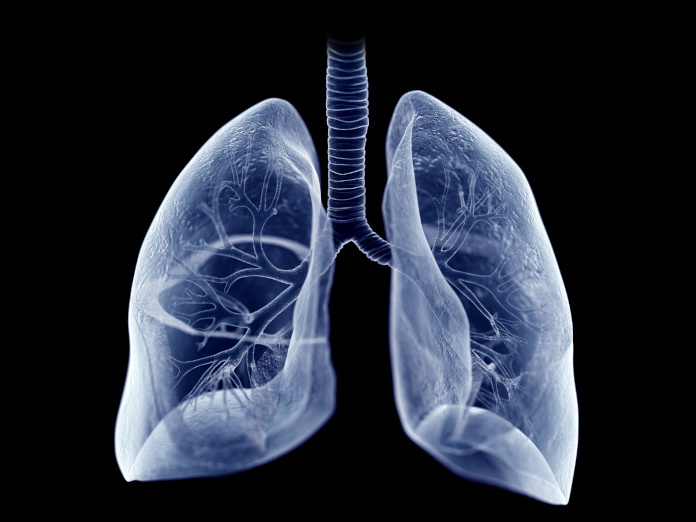 Salud de los pulmones