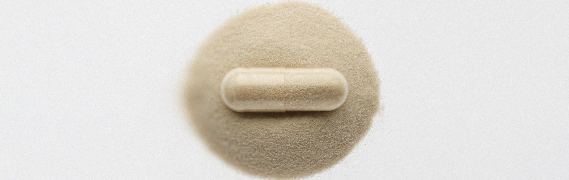 Tout ce qu’il faut savoir sur l’utilisation des probiotiques pour la santé intestinale