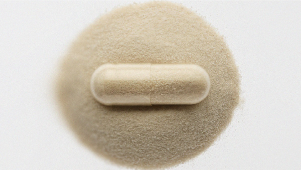 Tout ce qu’il faut savoir sur l’utilisation des probiotiques pour la santé intestinale