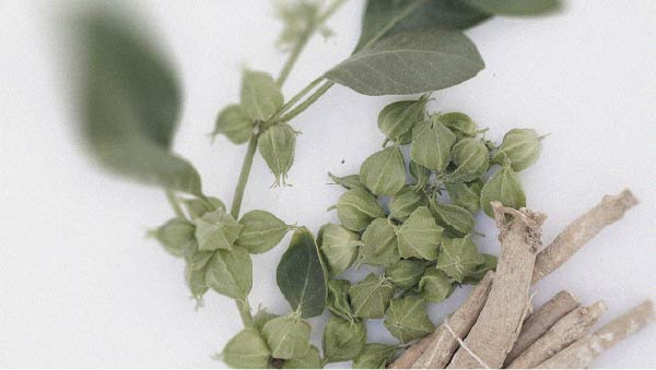 Ashwagandha may have different effects depending on when it is taken