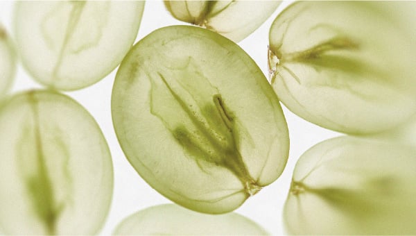 Le régime alimentaire qui pourrait soutenir les fonctions cognitives
