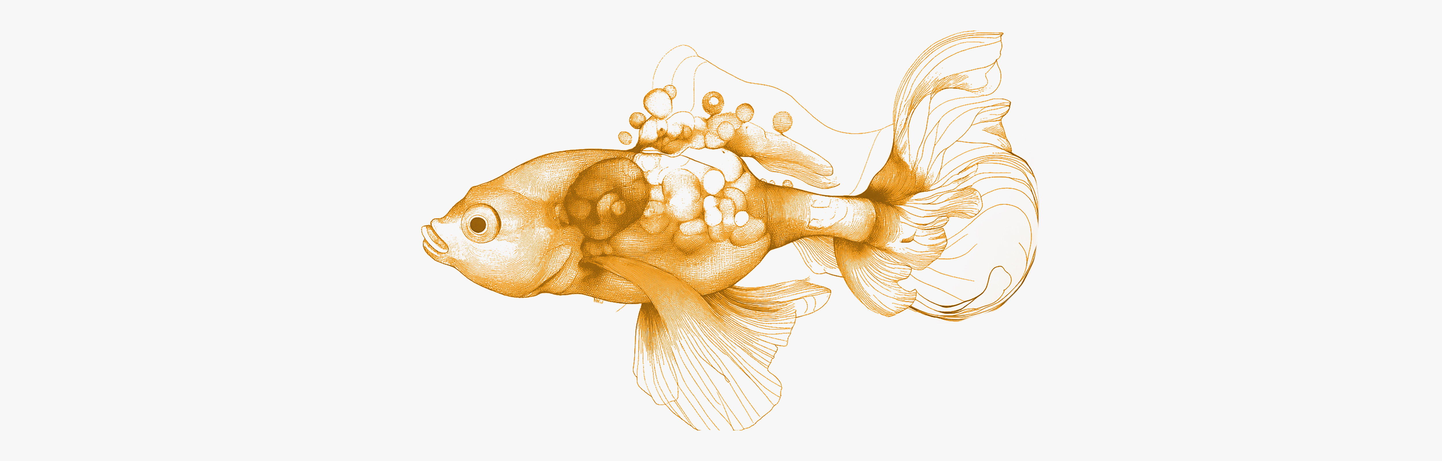 Tout ce qu’il faut savoir sur la vitamine B2