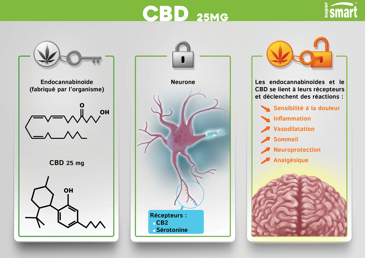 CBD 25 Mg